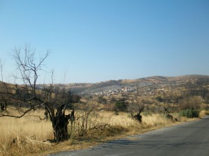 Άποψη του Κρεμαστού, έναν χρόνο μετά τη φωτιά του 2007